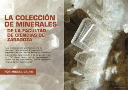 LA COLECCIÓN DE MINERALES