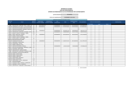 INFORME DE AVANCE