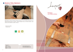 folleto de Bodegas