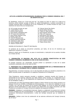 Acta sesión extraordinaria 07.08.15