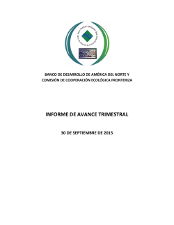 Informe de avance BDAN / COCEF