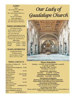 32nd Sunday in Ordinary Time - Our Lady of Guadalupe Church