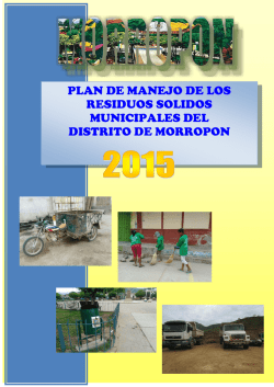 plan de manejo de residuos solidos mdm.