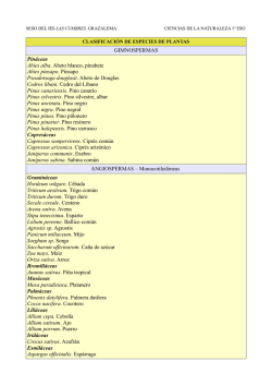 Documento relacionado