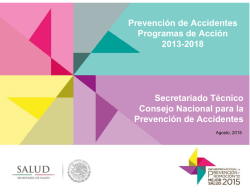 Prevención de Accidentes Programas de Acción 2013
