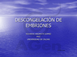 descongelación de embriones - AGENETICA :::::... Eduardo Angarita