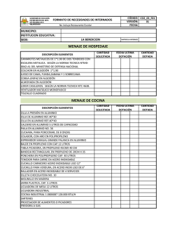 Formato Necesidades Internados - Secretaria de educación del Meta