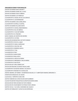 ORGANIZACIONES FUNCIONALES - Municipalidad de Punta Arenas