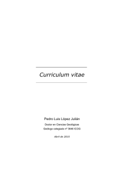 Curriculum vitae