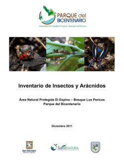 Inventario de Insectos y Arácnidos Área Natural