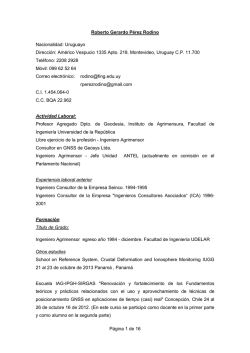 CV Roberto Gerardo P&eacute;rez Rodino