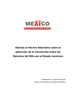 Adenda al Informe Alternativo sobre la aplicación de la Convención