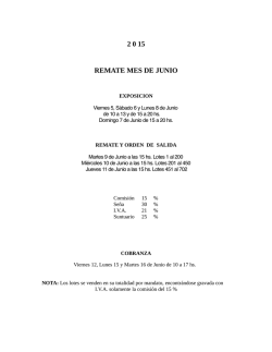 2 0 15 REMATE MES DE JUNIO