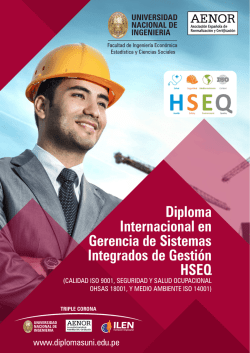 Diploma Internacional en Gerencia de Sistemas