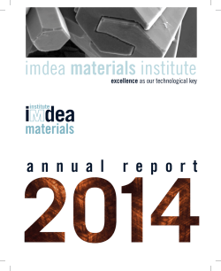 IMDEA Materials Institute annual report 2014