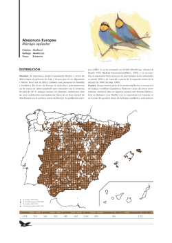 Abejaruco Europeo - Enciclopedia de las aves de España