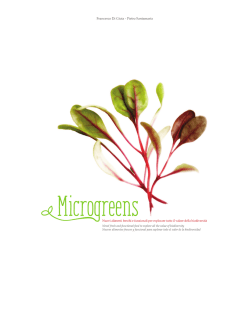 7. In cucina con i micro-ortaggi