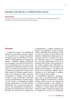 rehabilitación de la percepción visual