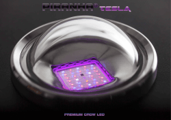 Descarga Catalogo Tesla Led