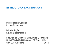 Estructura bacteriana II 2015