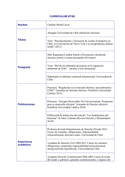 CURRICULUM VITAE - Universidad de Chile