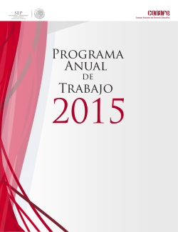 Programa Anual de Trabajo 2015