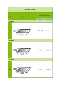 Informe Completo a cerca de los Pallets Aereos