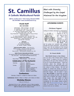 St. Camillus - Fata Online