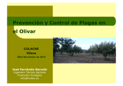 Prevención y Control de Plagas en el Olivar