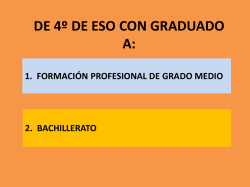 1. FORMACI&Oacute;N PROFESIONAL DE GRADO