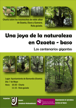 Una joya de la naturaleza en Ozaeta