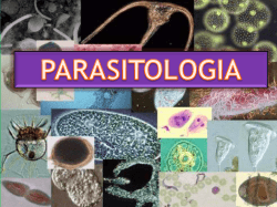 diapositivasdeparasitologia