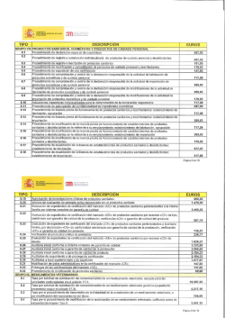 TIPO DESGRIPCION EUROS - VIRTUAL CUBE ENGINEERING