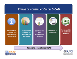 Sintesis de la Construcción del SICAD