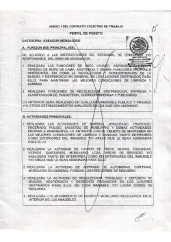 PERFIL DE PUESTO LIMSA
