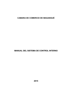 CONTROL INTERNO - Camara de Comercio de Magangué