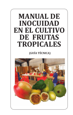 Manual BPM de frutas tropicales diagramacion definitiva