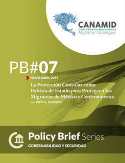 Policy Brief Series