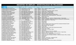 REGISTRO DE EMPLEO / MUNICIPIO DE PELLEGRINI