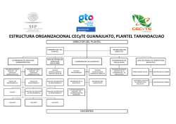 Organigrama
