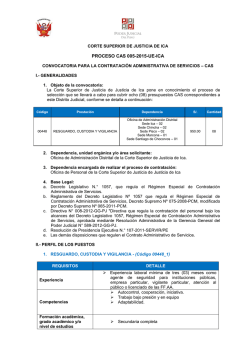 Bases para convocatoria CAS