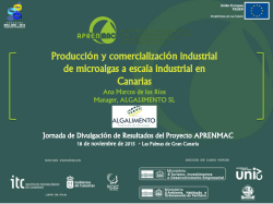 Producción y comercialización industrial de microalgas