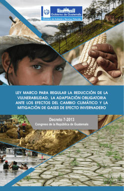 Decreto 7-2013 - Ministerio de Ambiente y Recursos Naturales