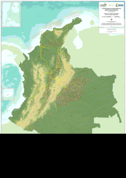 DUCTOS Y &Aacute;REAS OTORGADAS SECTOR HIDROCARBUROS