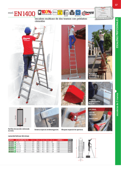 Descargar ficha técnica - Escaleras y andamios Faraone