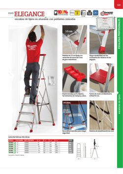 Descargar ficha técnica - Escaleras y andamios Faraone