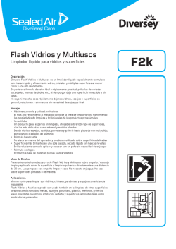 Flash Vidrios y Multiusos