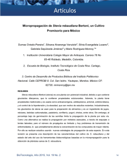 Micropropagación de Stevia rebaudiana Bertoni, un Cultivo