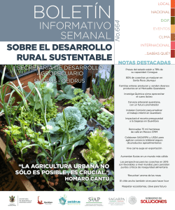 INFORMATIVO SEMANAL