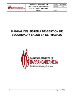 manual del sistema de gestión de seguridad y salud en el trabajo